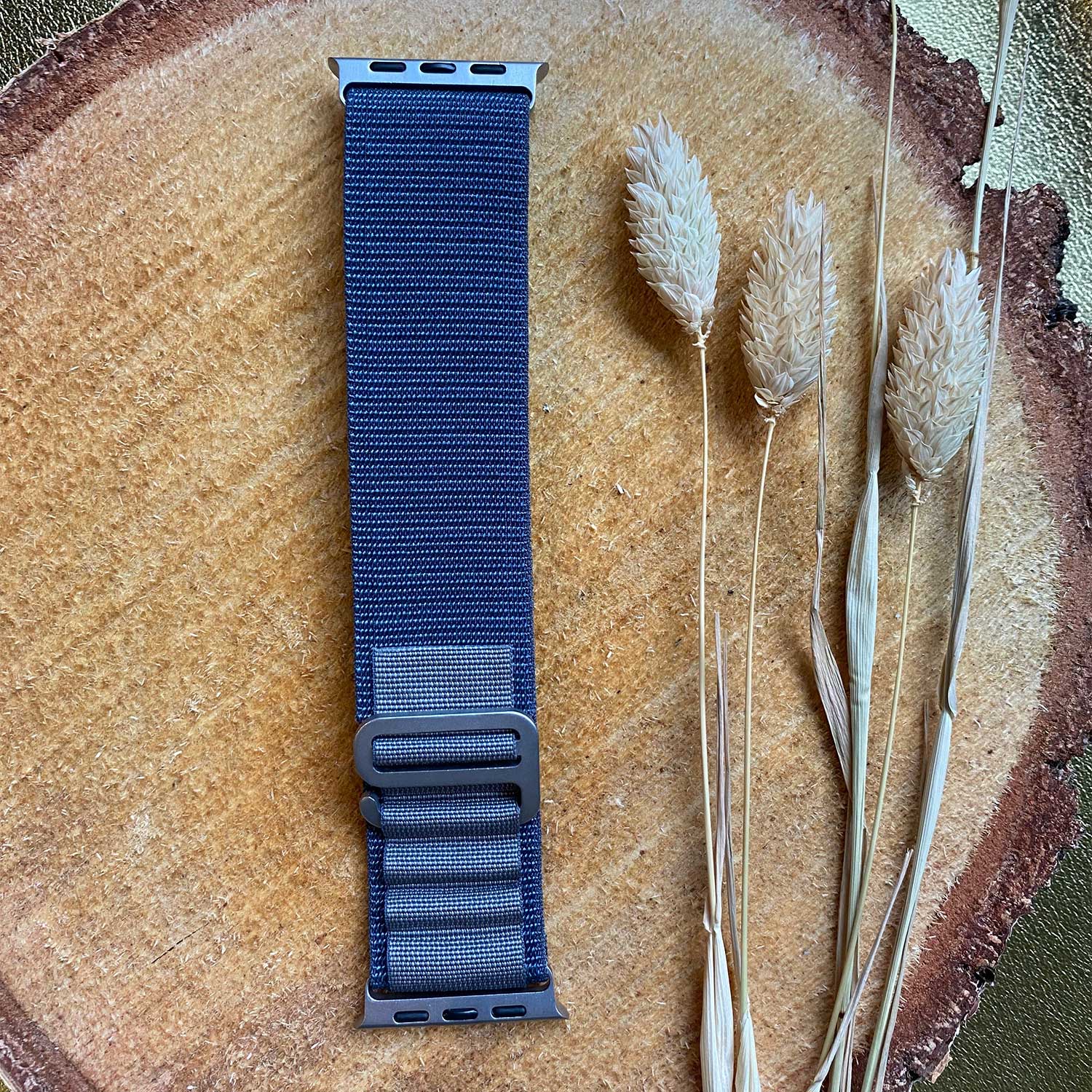Apple Watch Nylon Alpine Strap - Blue