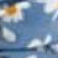 Flower Blue