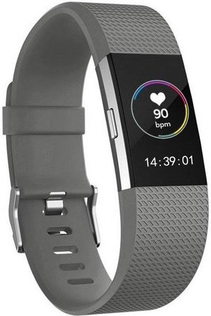 Fitbit Charge 2 Sport Strap - Grey